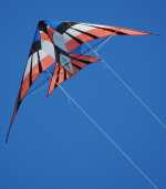 Scouts to fly kites to raise cash