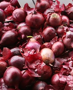 Onions help peel off weight says study