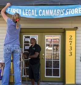 Washington now 2nd state to legalise ganja sales