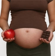 High-fat diet during pregnancy programs child for future diabetes, study suggests