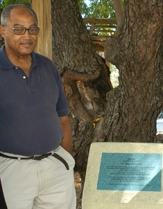 Plaque tells story of George Town tree