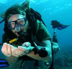Adaptive divers boost Cayman Brac tourism