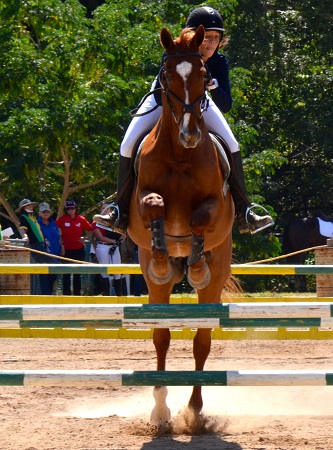 Local show-jumpers lose lead in Jamaica round