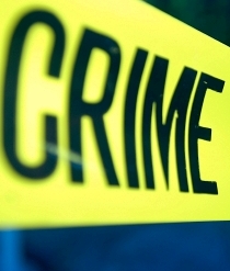 Robbers held gun to victim’s head