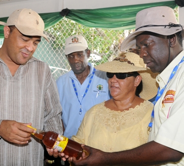 Minister encourages Cayman to grow its own food