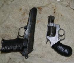 Cops seize 2 guns at GT house