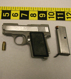 Two men charged after cops seize gun