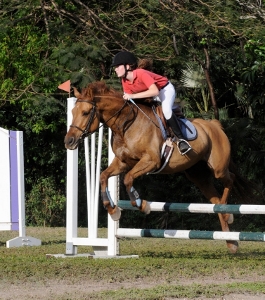 Young show jumpers battle for silverware