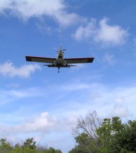 Mosquito plane taking off following first rains