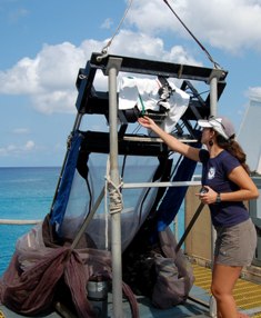 NOAA helps out in Cayman’s fish larvae count