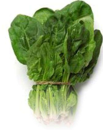 Producers pull spinach in Listeria scare