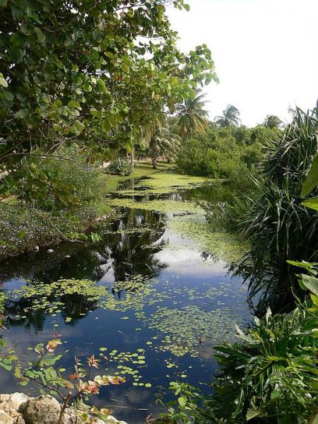 Botanic Park tempts members to renew