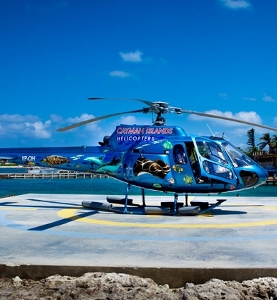Appeal court clears chopper for take-off