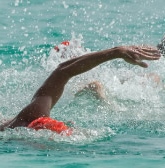 Open water clinic to help Pirate swimmers