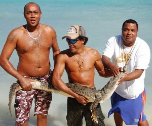 Fishermen net crocodile in West Bay