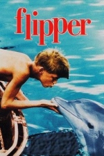 The legacy of Flipper