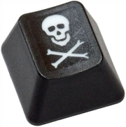 US pirate hunters target movies
