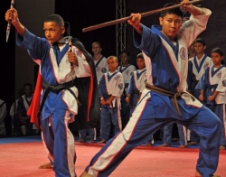 Karate team wins gold, silver, bronze in Trinidad