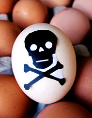 No bad eggs in Cayman says government