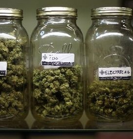 Medical marijuana shops close in crackdown