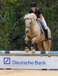 Cayman riders first in show jumping competition