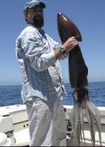 San Diego divers menaced by jumbo squid