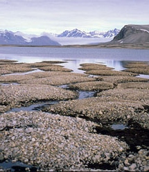 Permafrost thaw could be critical to climate change