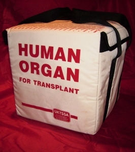 Plans to make organ transplants legal underway