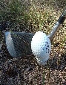 151017-that-is-not-the-correct-shape-for-a-golf-ball-golf-cross-wanaka-new-zealand.jpg