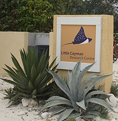 CCMI-on-Little-Cayman-(Read-Only).jpg