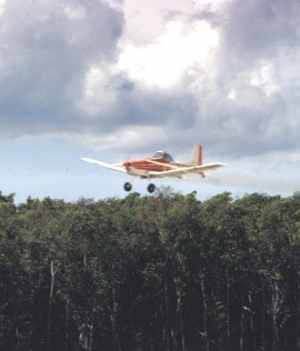Cessna-in-mangrove-1-700x466.jpg
