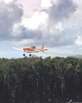 Cessna-in-mangrove-1-700x466_1.jpg