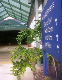 hospital entrance.jpg