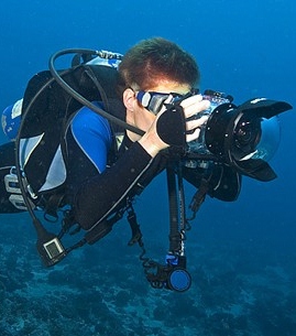 underwater-photographer-jobs.jpg